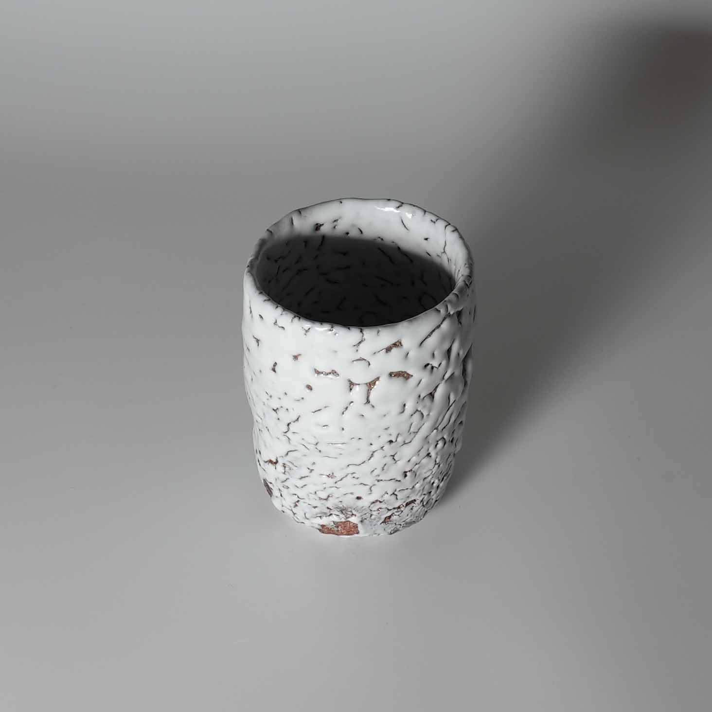hagi-suka-cups-0052